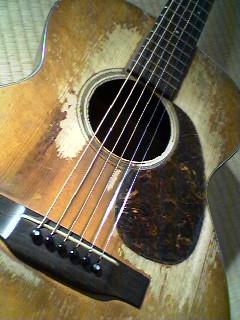 20060204_128567.jpg