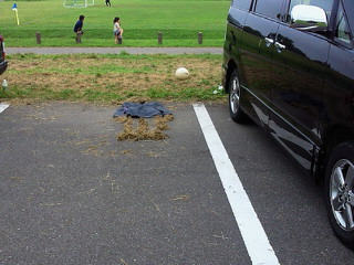 201106261404001.jpg