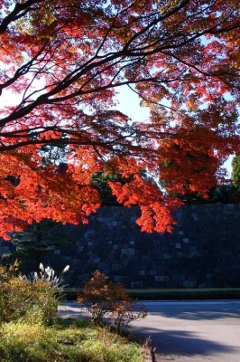 東宮御苑