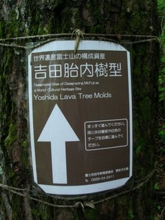吉田胎内樹型への貼り紙