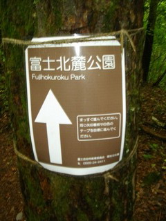 吉田胎内樹型への貼り紙