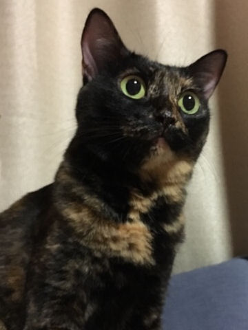 ブリトニー