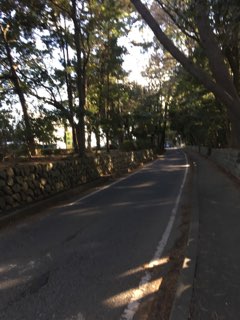 寒川神社への道