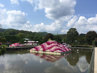 あしかがフラワーパーク