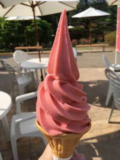 あしかがフラワーパークのとちおとめソフト