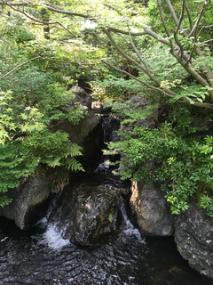 寒川神社の神嶽山神苑