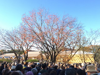 大嘗宮