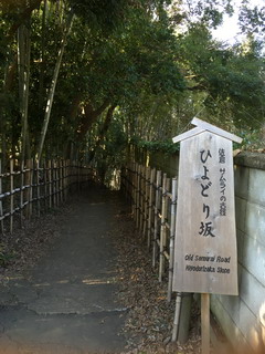 ひよどり坂