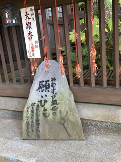 麻賀多神社の御神木