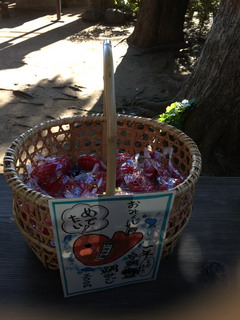 麻賀多神社の鯛みくじ