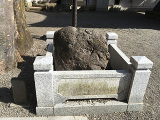 大國魂神社亀石