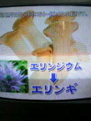 200802130904000.jpg