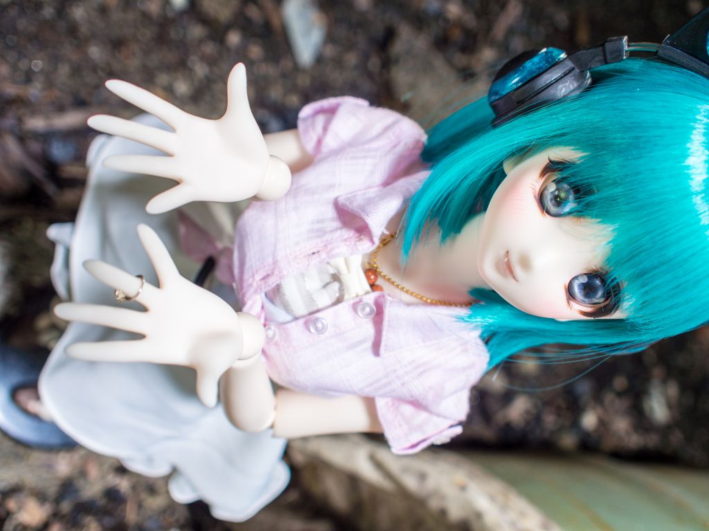 _5030042_1024.jpg