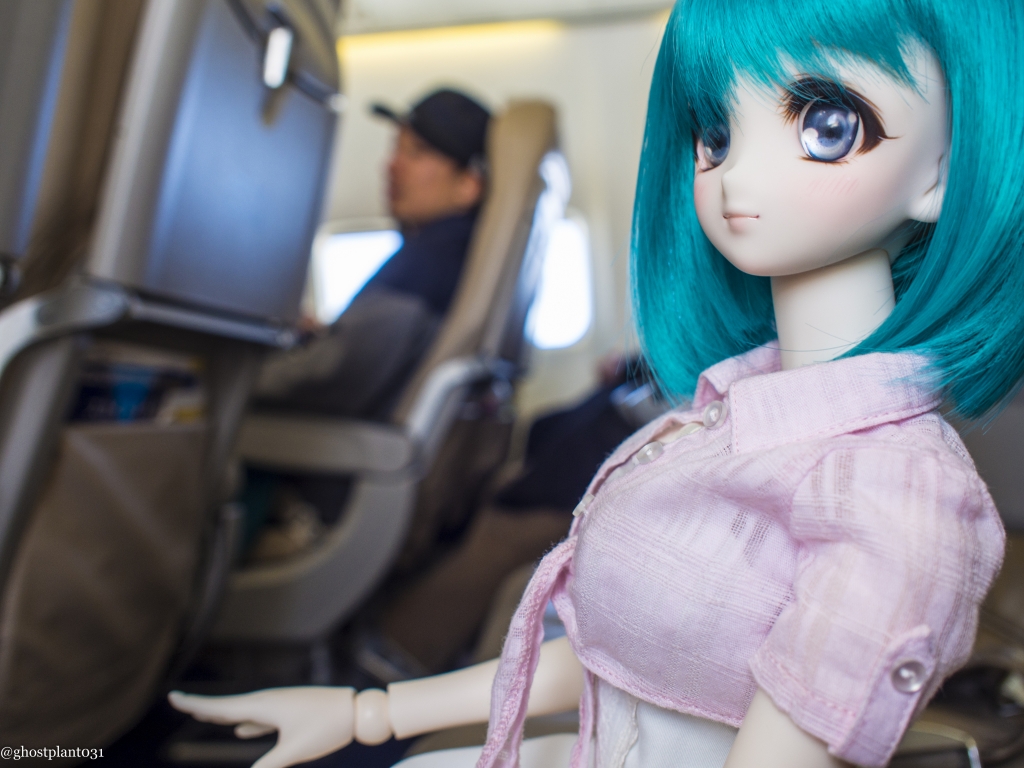 _5040327_1024.jpg