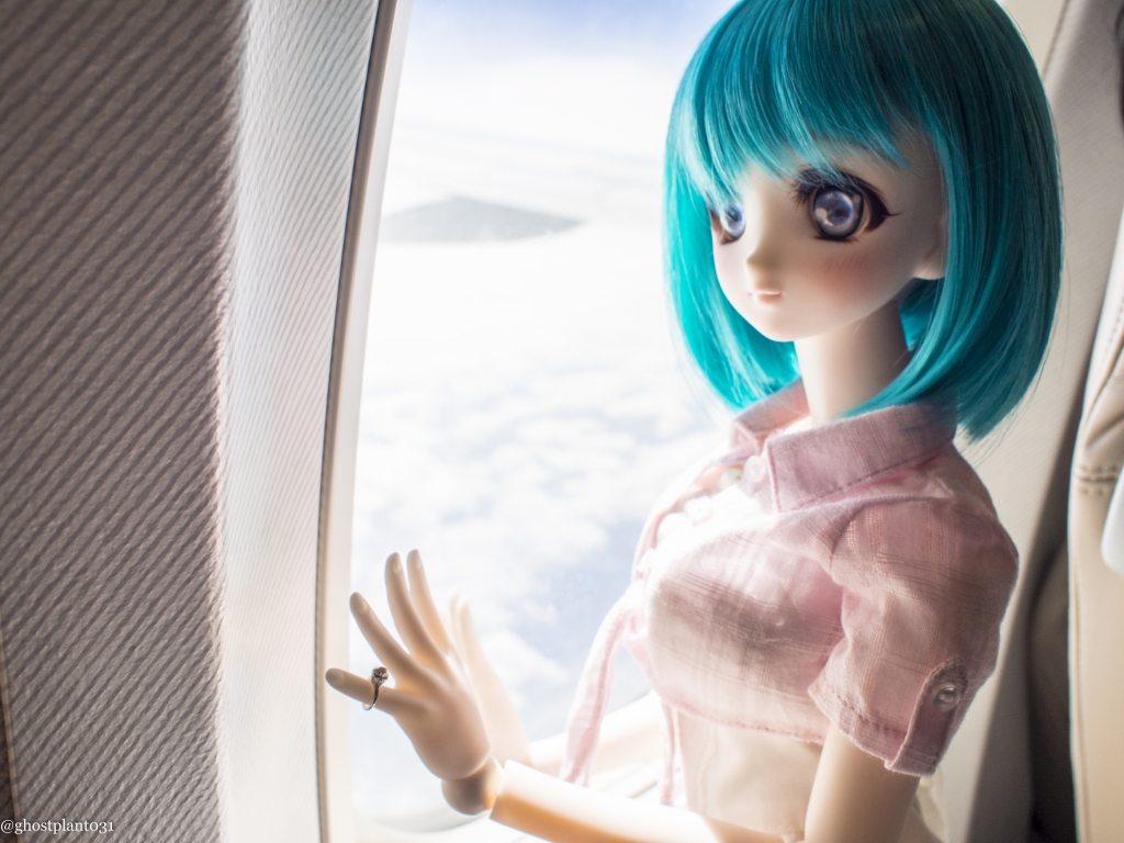 _5040321_1024.jpg