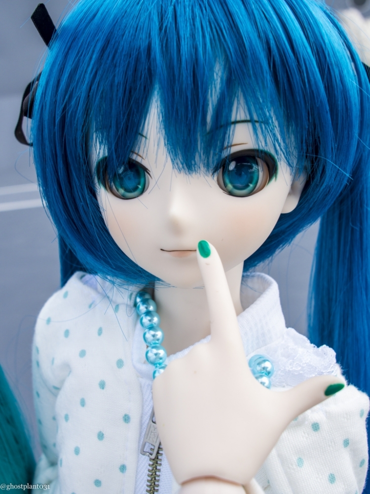 _8020223_1024.jpg