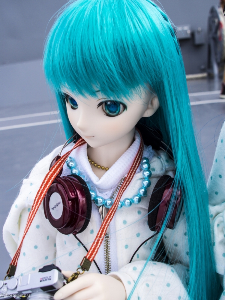 _8020227_1024.jpg
