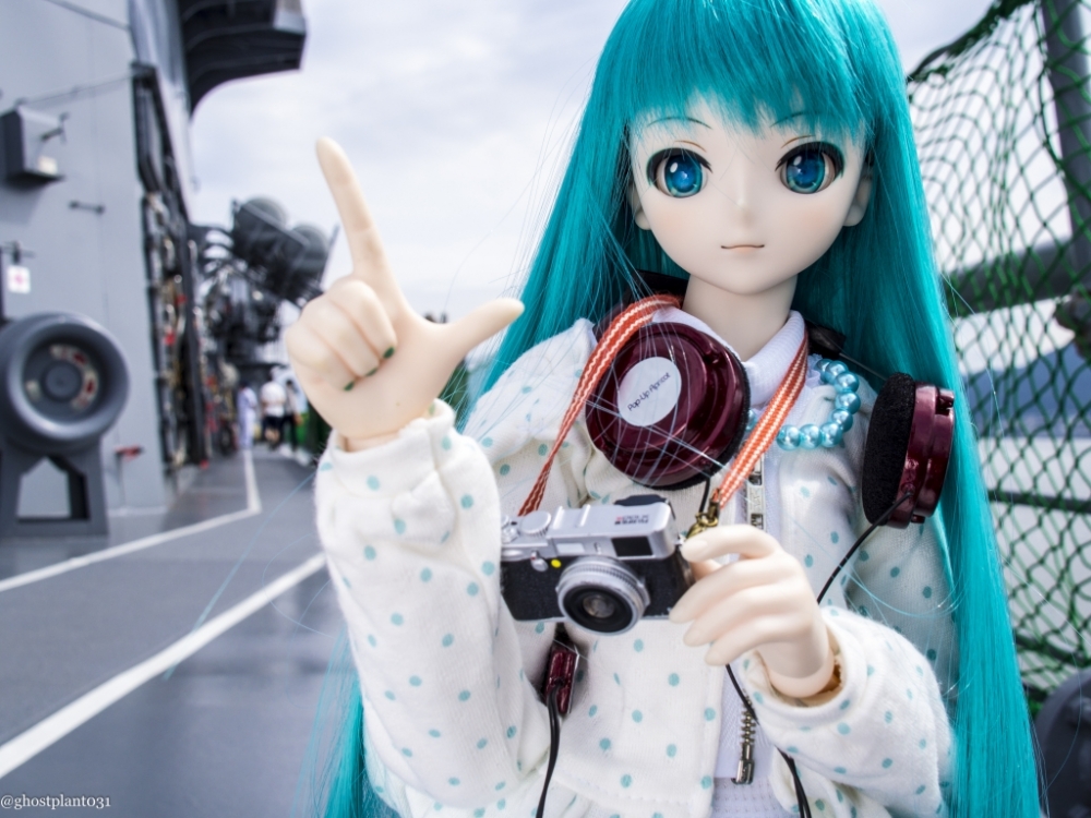 _8020259_1024.jpg