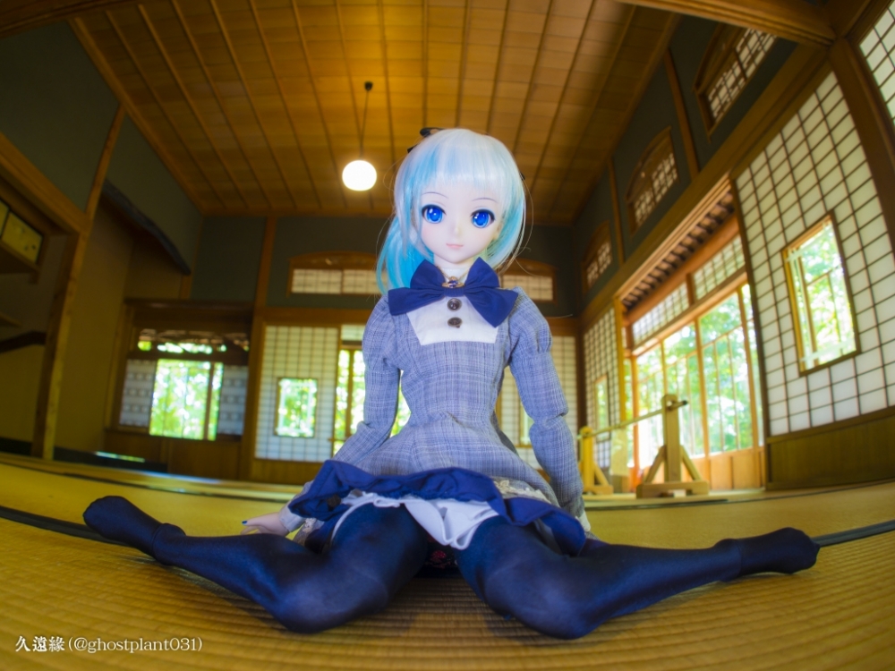 _8110056_1024.jpg