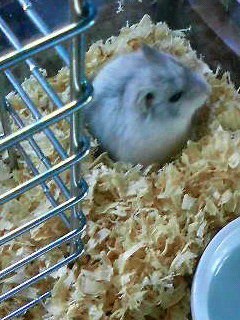201102161909000.jpg