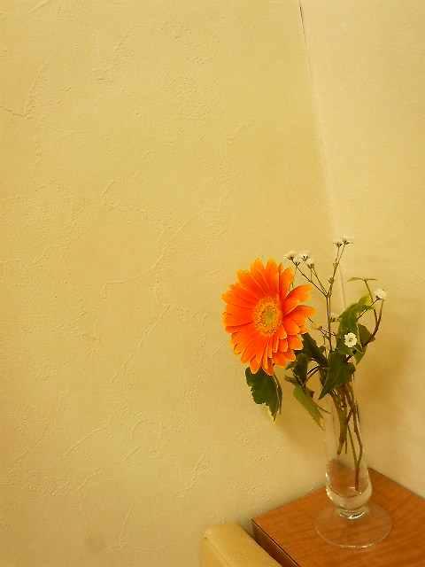 201102211812000.jpg
