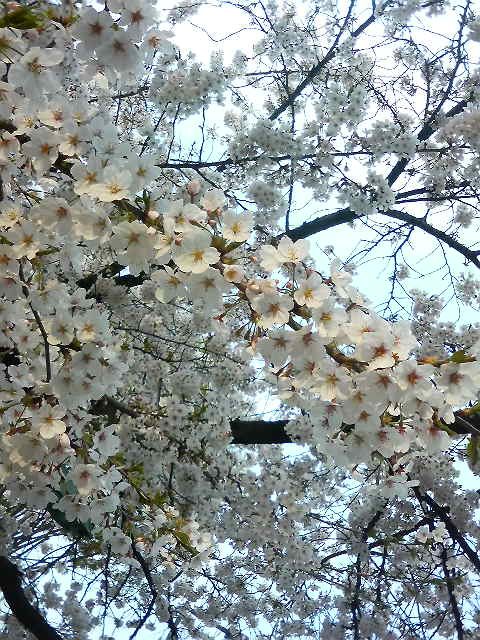 201104101646000.jpg