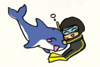 イルカ達と泳ぐ