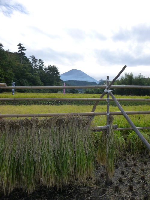 大山に見守られ・・・