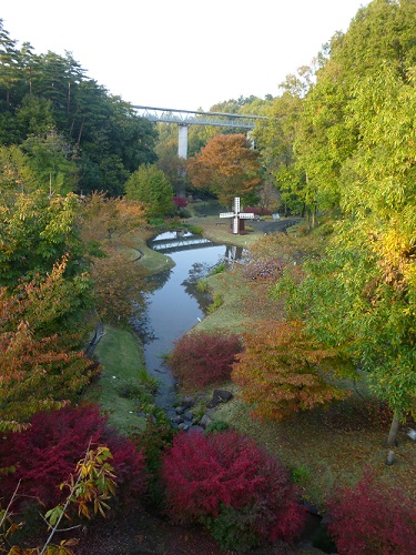 紅葉の花の谷