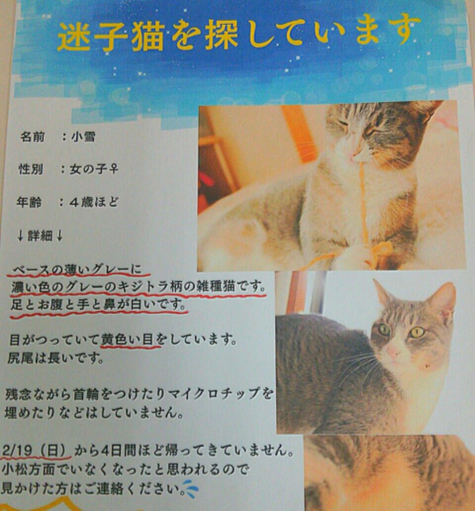 20170228_195117.jpg