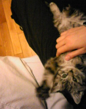 Image136.jpg
