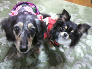 2013010815310000.jpg