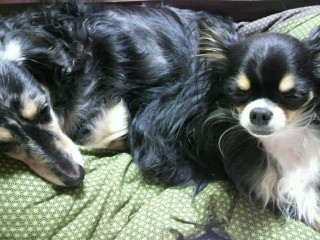 2013012902540000.jpg