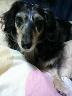 2013022013220000.jpg