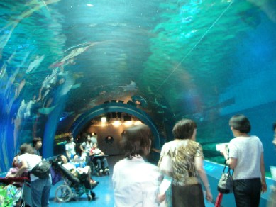 品川水族館