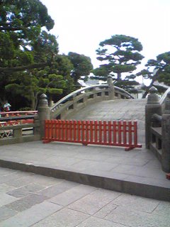 Image9011.jpg