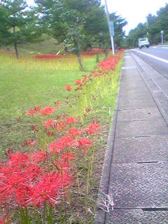 Image10101.jpg