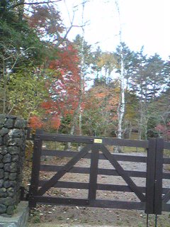 Image11701.jpg