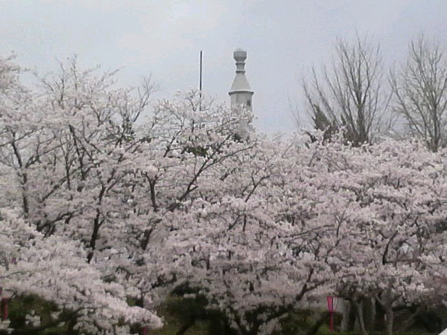 2011041209040001.jpg