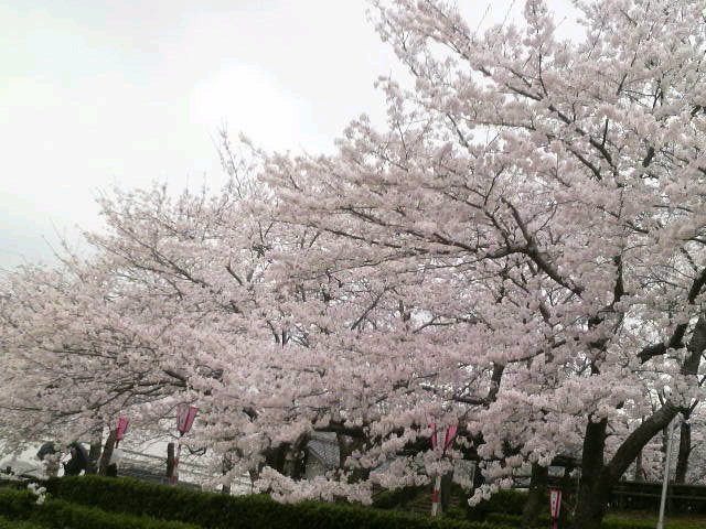 2011041209040000.jpg