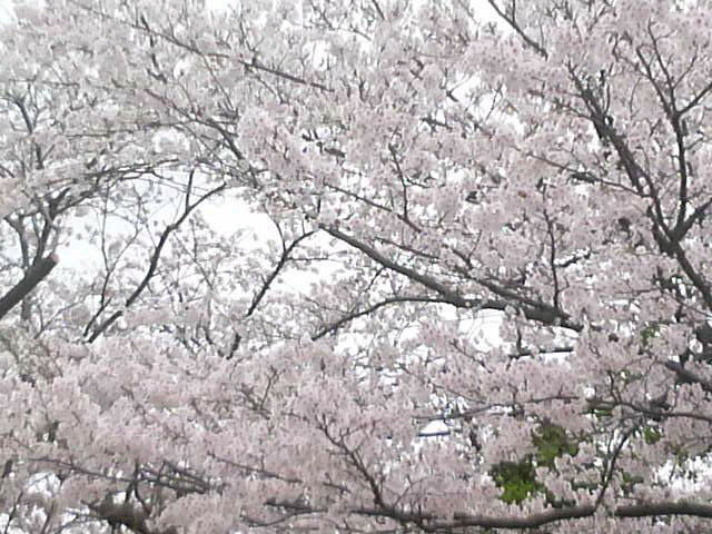 2011041209030000.jpg