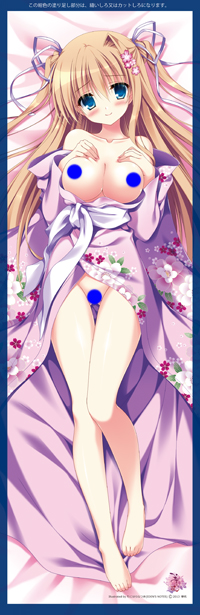 ¥µ¥¯¥ä¥Ò¥á2013²þɽÌÌÁ´¿È.jpg