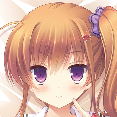 ¥«¥ó¥ÊɽÌÌUP.png