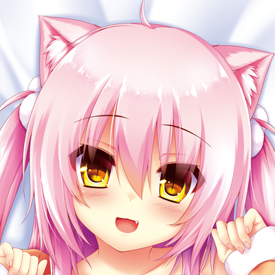 C91¥·¥¢É½ÌÌUP.png