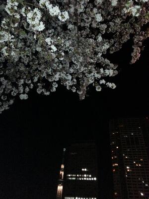 rps20150403_011904_074.jpg