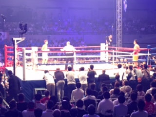 image1.JPG