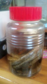 20100810230949.jpg