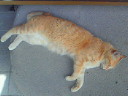 201106281402000.jpg