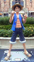 201108251023000.jpg