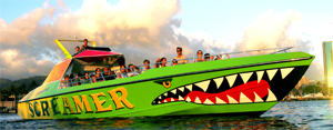 Honolulu Screamer